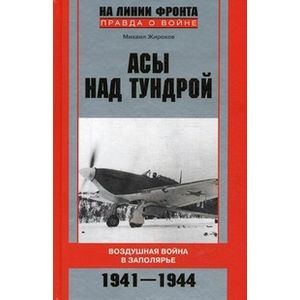 Асы над тундрой. Воздушная война в Заполярье