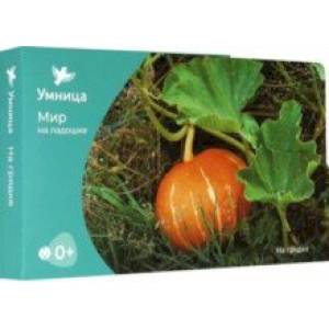 Мир на ладошке. На грядке Мир на ладошке. На грядке