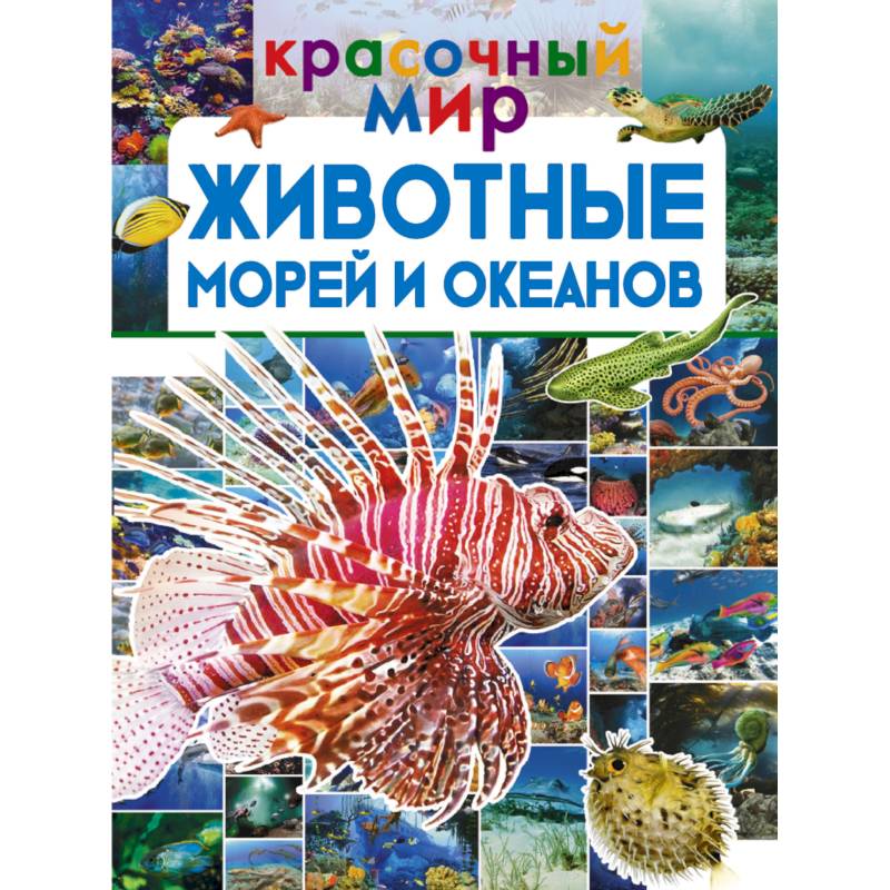 Животные морей и океанов