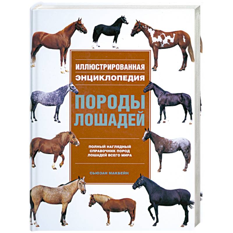 Книги пород. Породы лошадей иллюстрированная энциклопедия Сьюзен МАКБЭЙН. Породы лошадей. Иллюстрированная энциклопедия Сьюзан Макбейн. Сьюзан Макбейн породы лошадей. Книга энциклопедия пород лошадей.