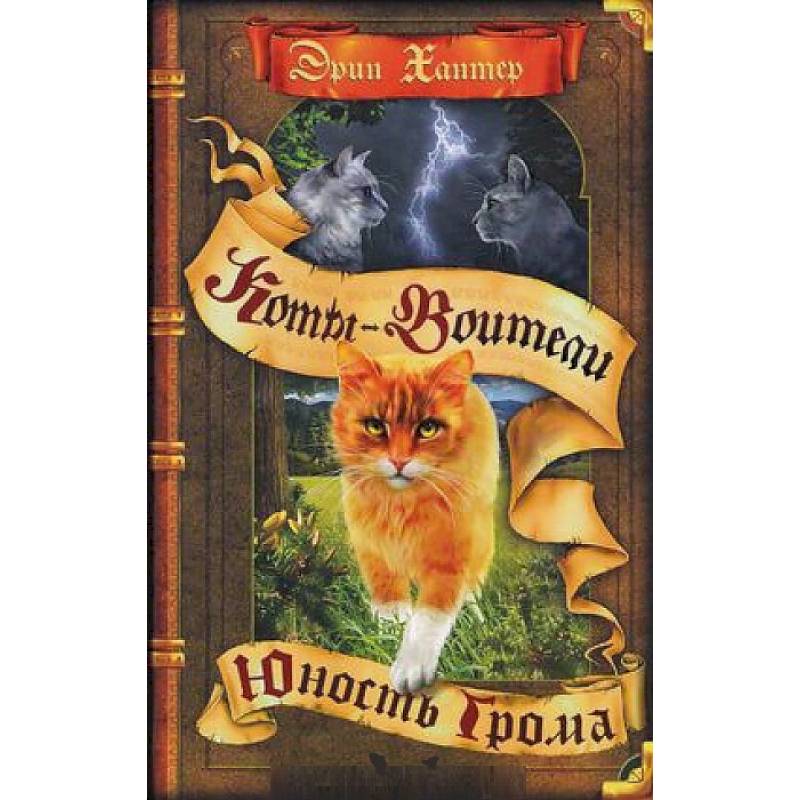 Юность Грома