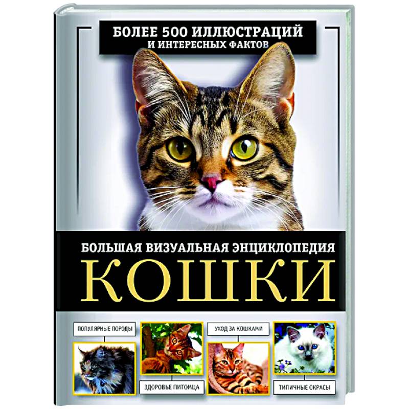 Кошки. Большая визуальная энциклопедия