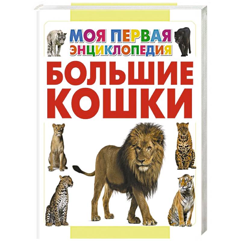 Большие кошки