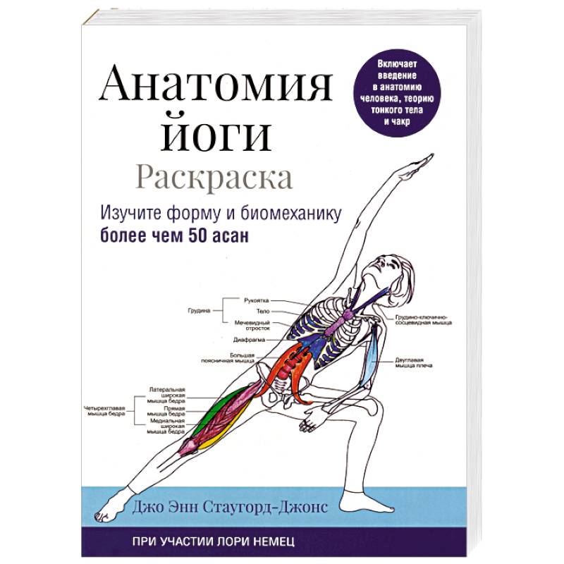 Анатомия йоги. Раскраска. Изучите форму и биомеханику более чем 50 асан Анатомия йоги. Раскраска. Изучите форму и биомеханику более чем 50 асан