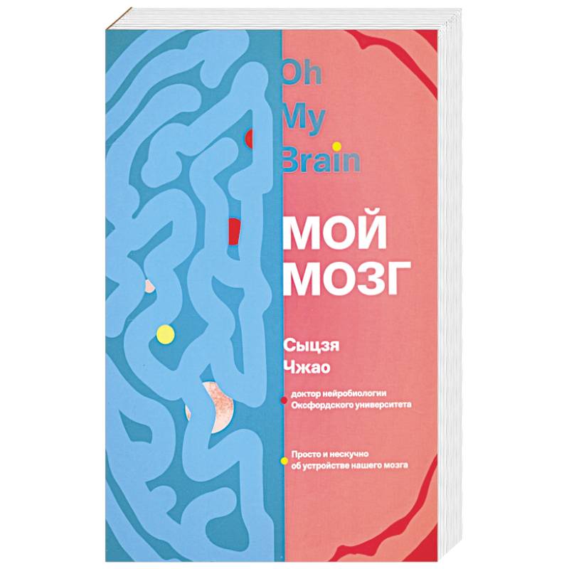 Мой мозг