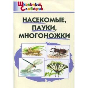 Насекомые, пауки, многоножки. Начальная школа