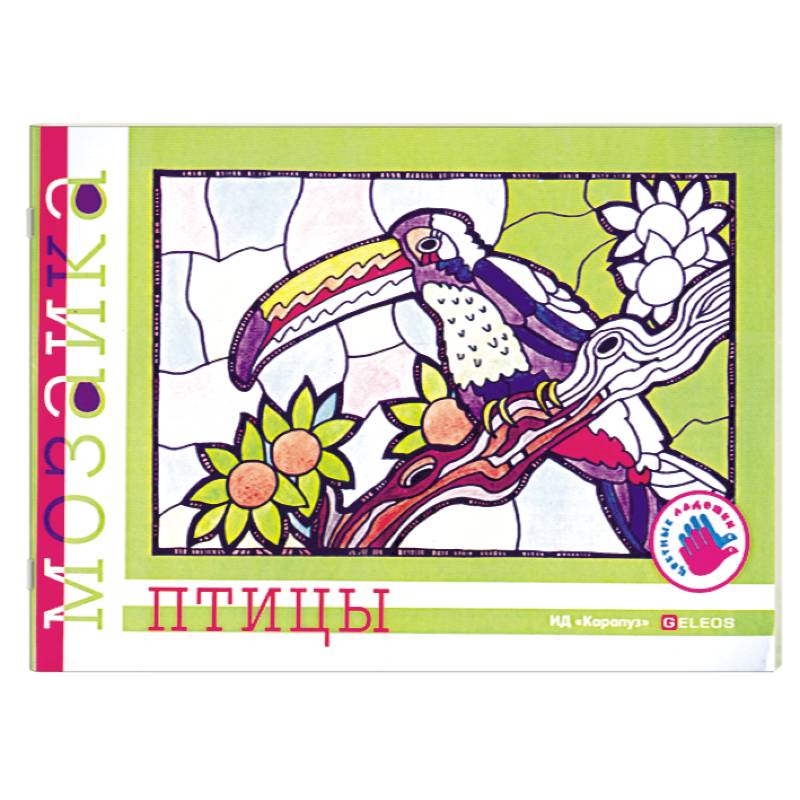 Птицы. Альбом для детского художественного творчества.