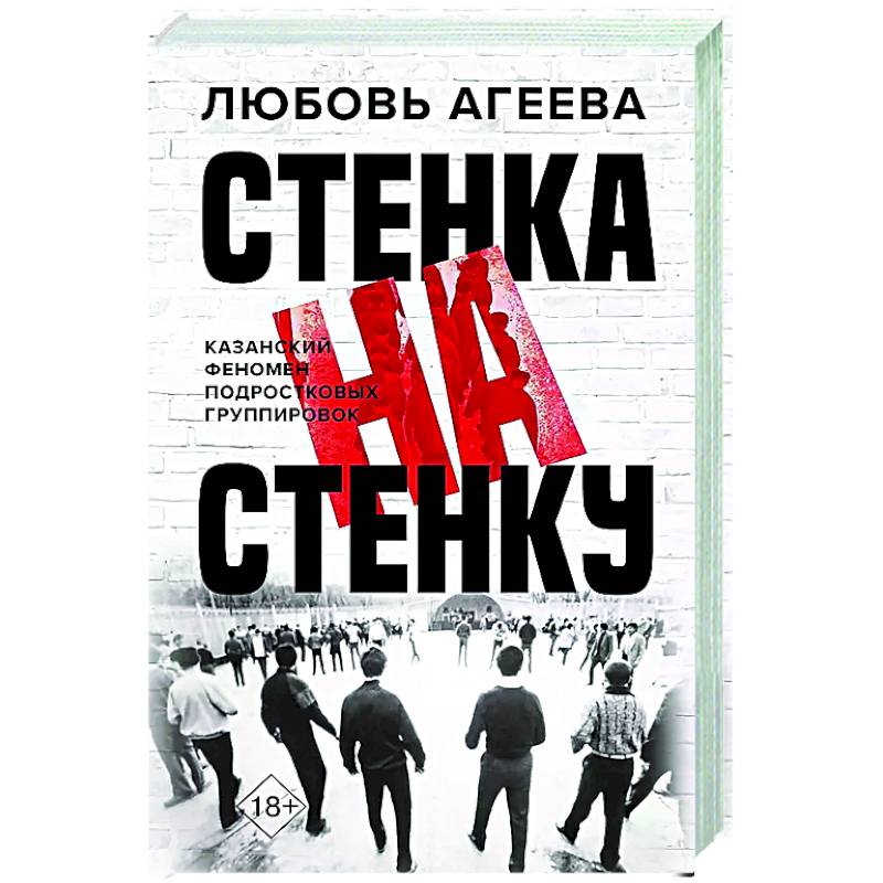 Стенка на стенку. Казанский феномен подростковых группировок Стенка на стенку. Казанский феномен подростковых группировок