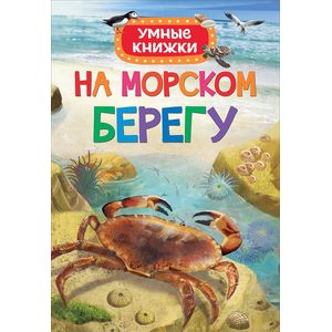 На морском берегу