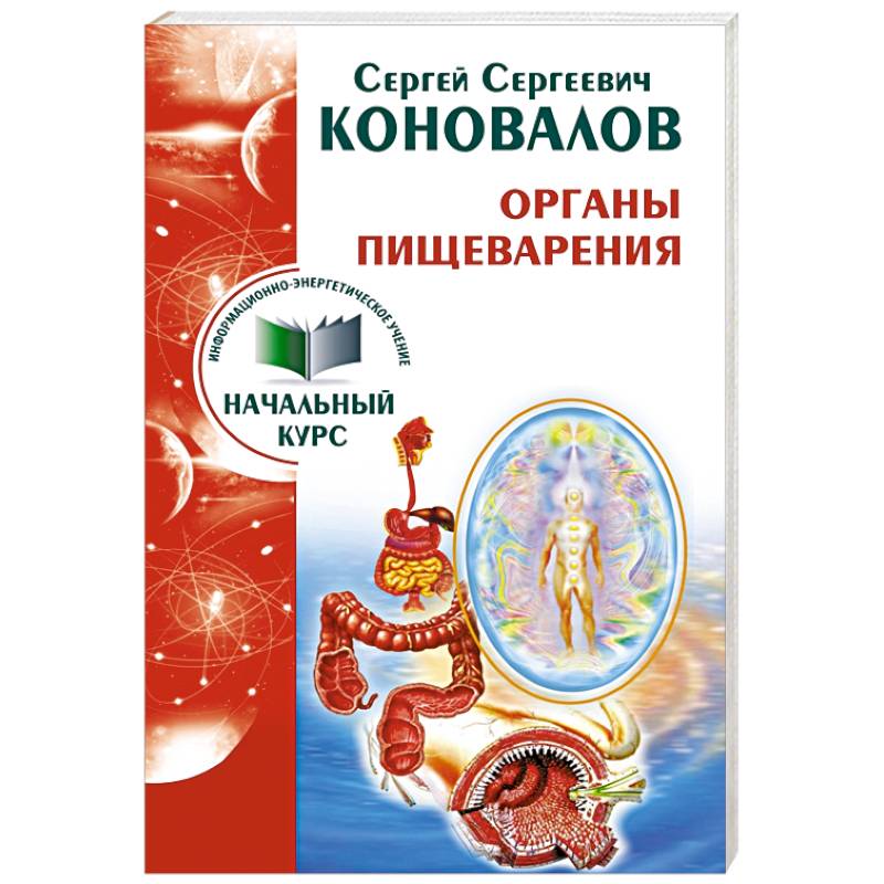 Органы пищеварения. Информационно-энергетическое Учение. Начальный курс