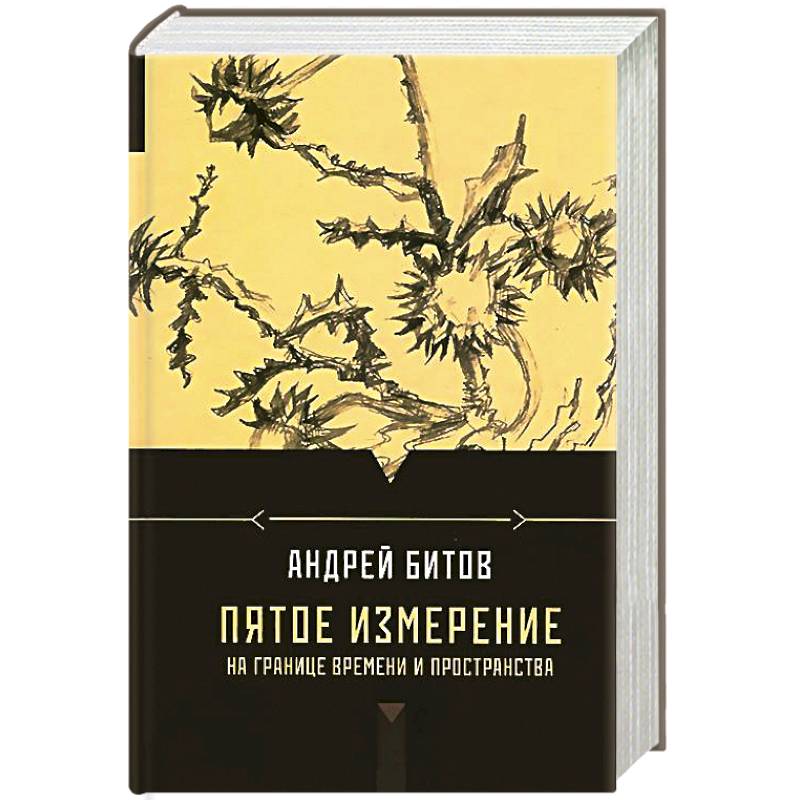 Книги измерения. Четвертое измерение в литературе. Пятое измерение книга. Мир пространства и время книга. Андрей битов серия пятое измерение.