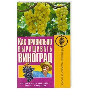 Как правильно выращивать виноград