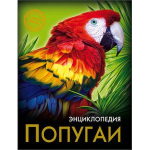Попугаи
