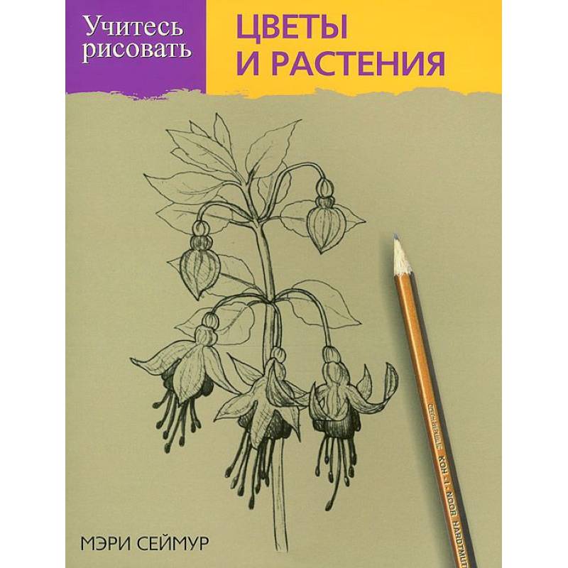 Мэри сеймур учитесь рисовать цветы и растения