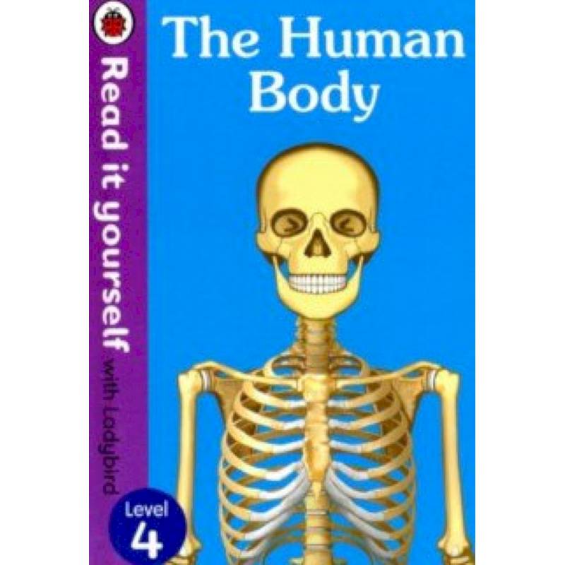 The Human Body