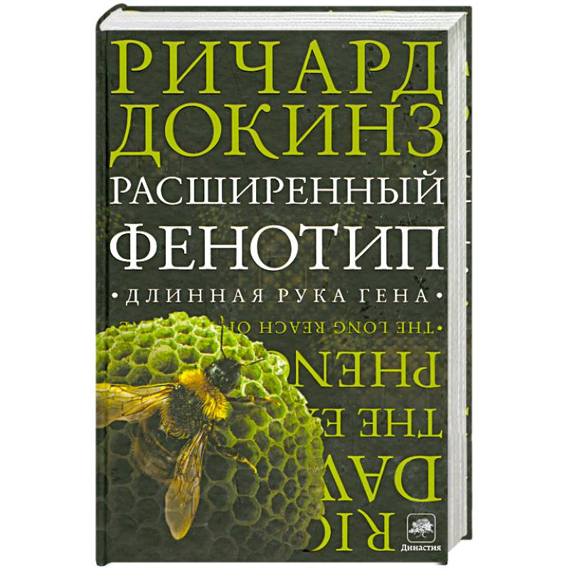 Расширенный фенотип: длинная рука гена