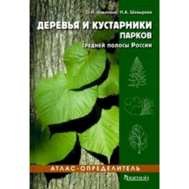 Атлас определитель деревьев. Рычин - деревья и кустарники зимой определитель 1953г.