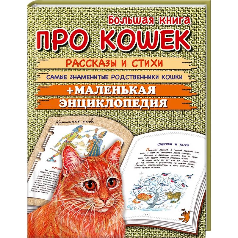 Книги о кошках. Книги про кошек. Книги про кошек для детей. Энциклопедия. Кошки. Детская книга про кошку.