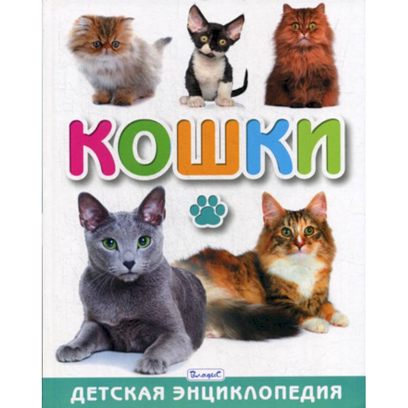 Энциклопедия кошек картинки