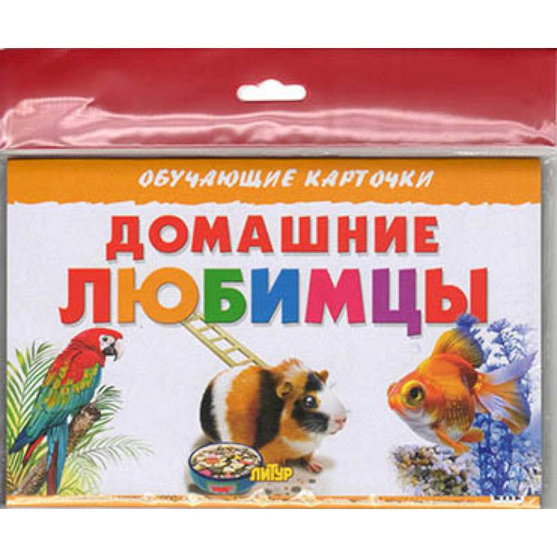 Домашние любимцы