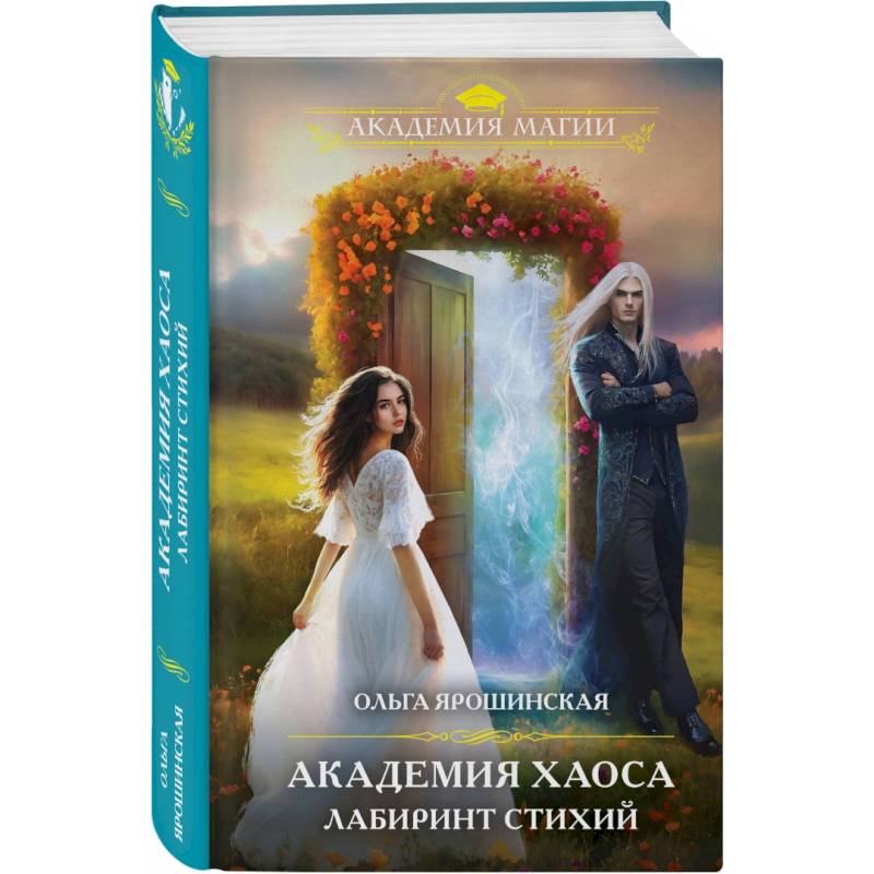 Академия хаоса. Лабиринт стихий