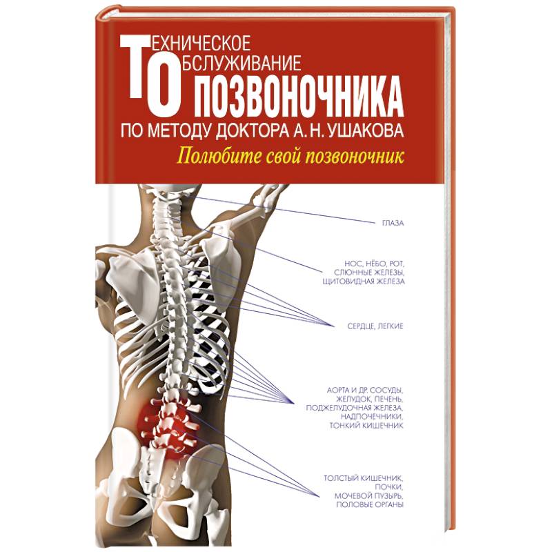 Техническое обслуживание позвоночника по методу доктора А.Н. Ушакова. Полюбите свой позвоночник