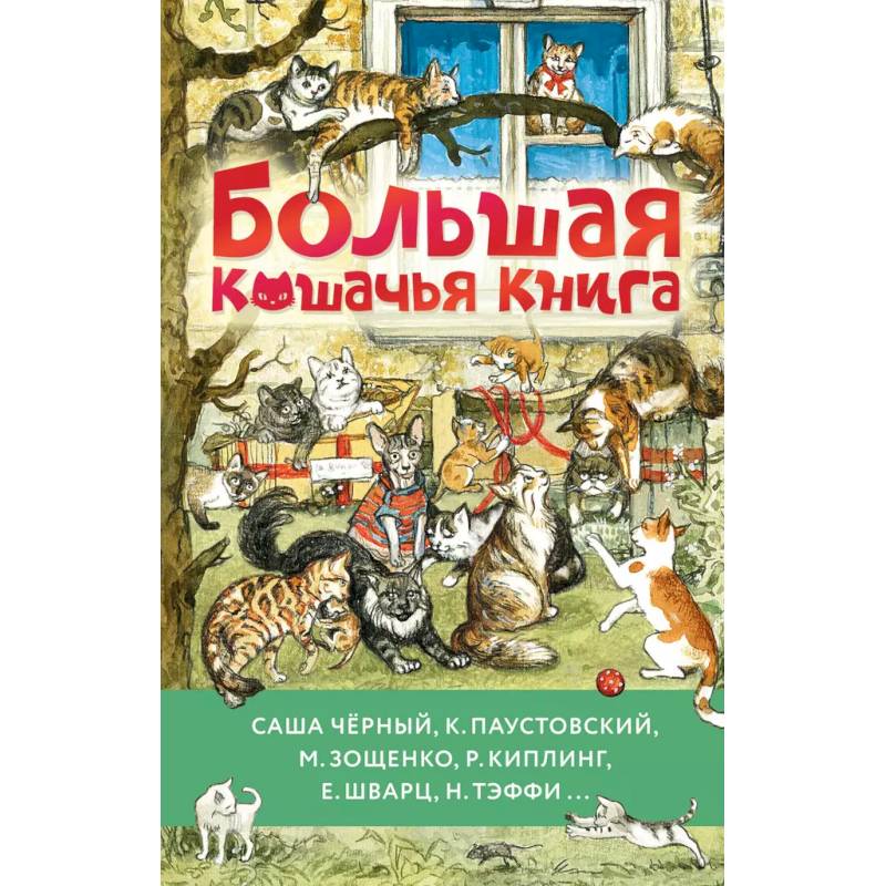 Большая кошачья книга Большая кошачья книга