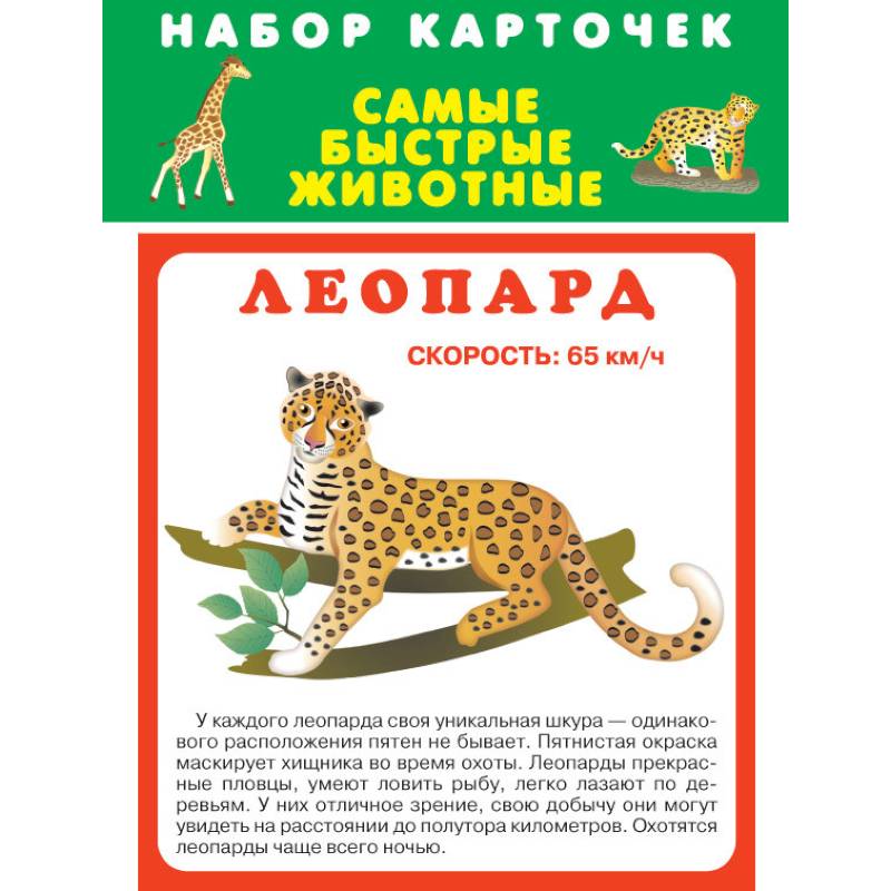 Набор карточек. Самые быстрые животные Набор карточек. Самые быстрые животные