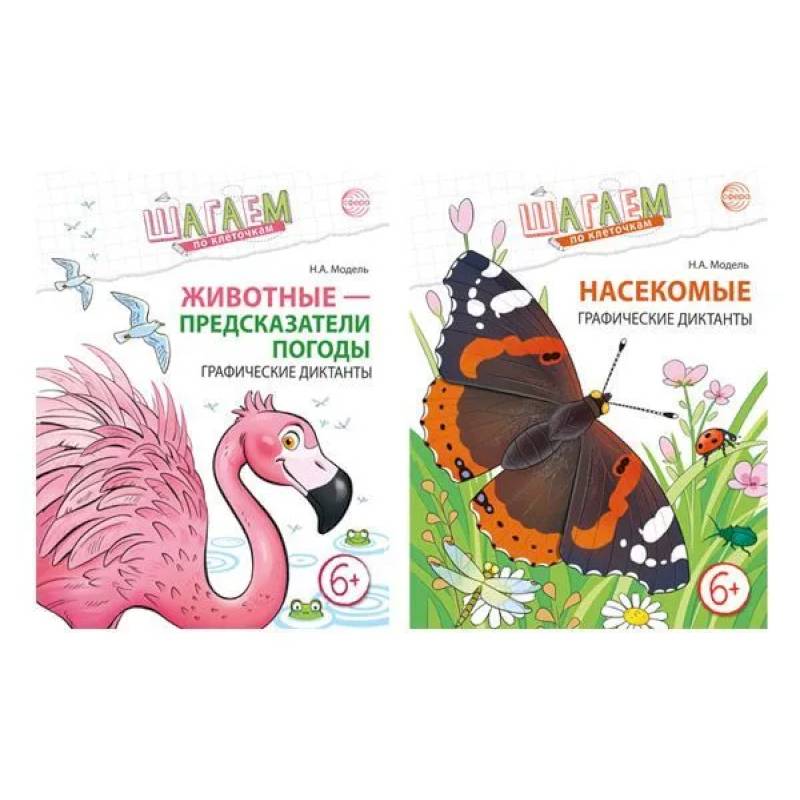 Шагаем по клеточкам. Графические диктанты с математическими примерами для детей 6-7 лет (Комплект из 2-х книг)