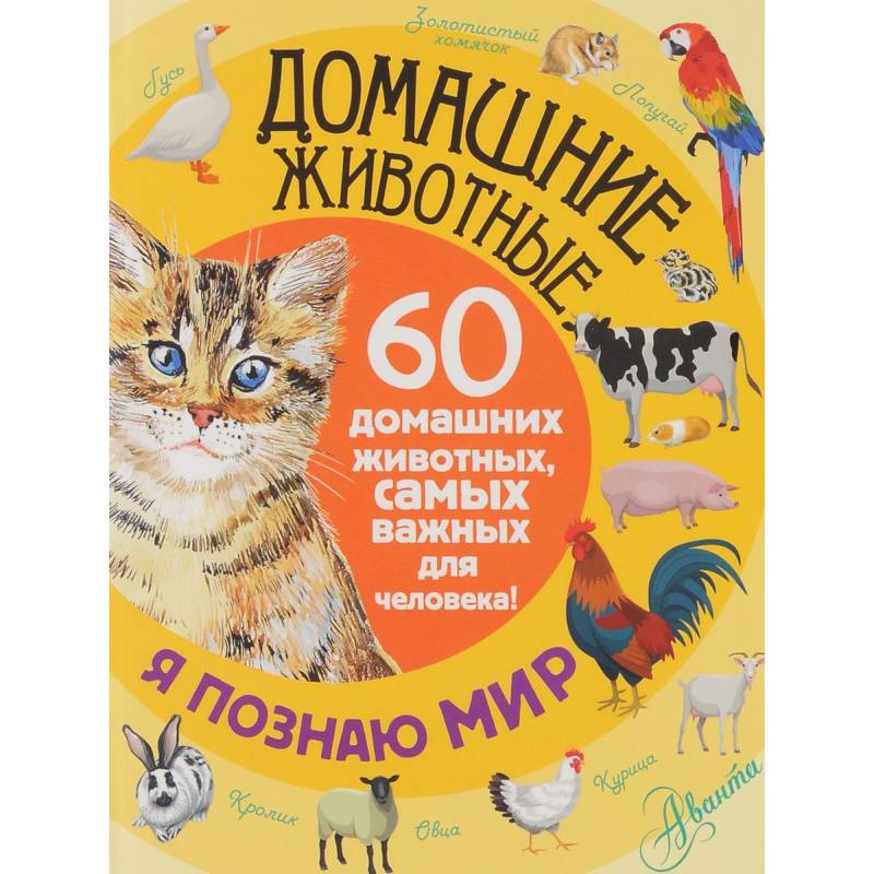 Книги о домашних животных: как понять питомца