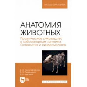 Анатомия животных. Практическое руководство к лабораторным занятиям. Остеология и синдесмология