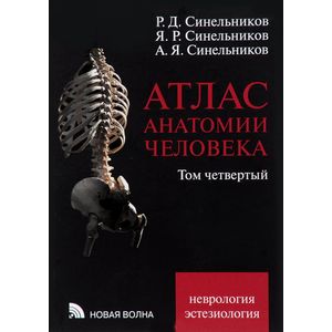 Атлас анатомии человека. В 4 томах. Том 4. Учение о нервной системе и органах чувств. Учебное пособие