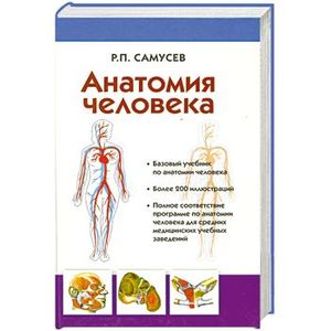 Анатомия человека