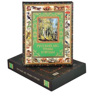 Русский лес: грибы и ягоды.