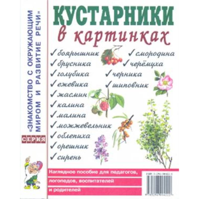 Лето в картинках наглядное пособие для педагогов логопедов