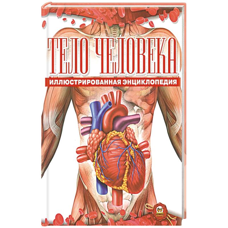 Тело человека