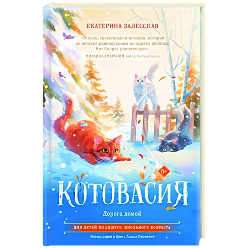 Котовасия. Дорога домой Котовасия. Дорога домой