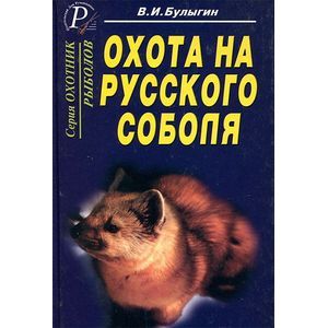 Охота на русского соболя