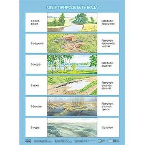 Где в природе есть вода. Плакат