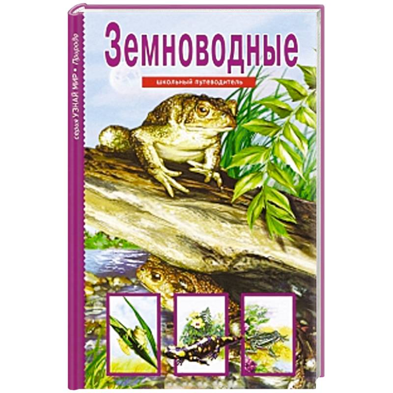 Земноводные. Школьный путеводитель