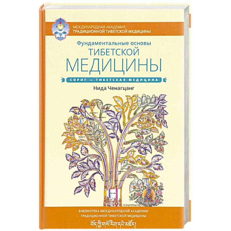 Тибетская медицина что это. Тибетская медицина что это. Тибетская медицина что это. Юона тибетская медицина. Нида ченагцанг.