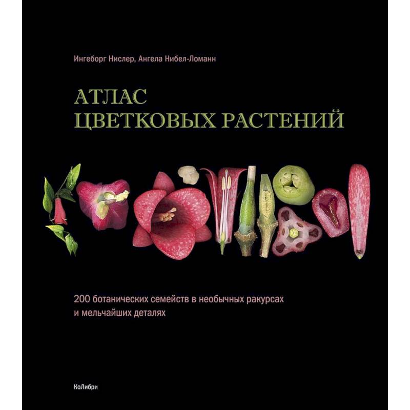 Атлас цветковых растений. 200 ботанических семейств в необычных ракурсах и мельчайших деталях