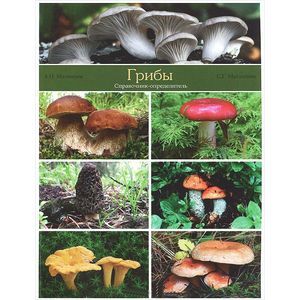 Грибы. Справочник-определитель