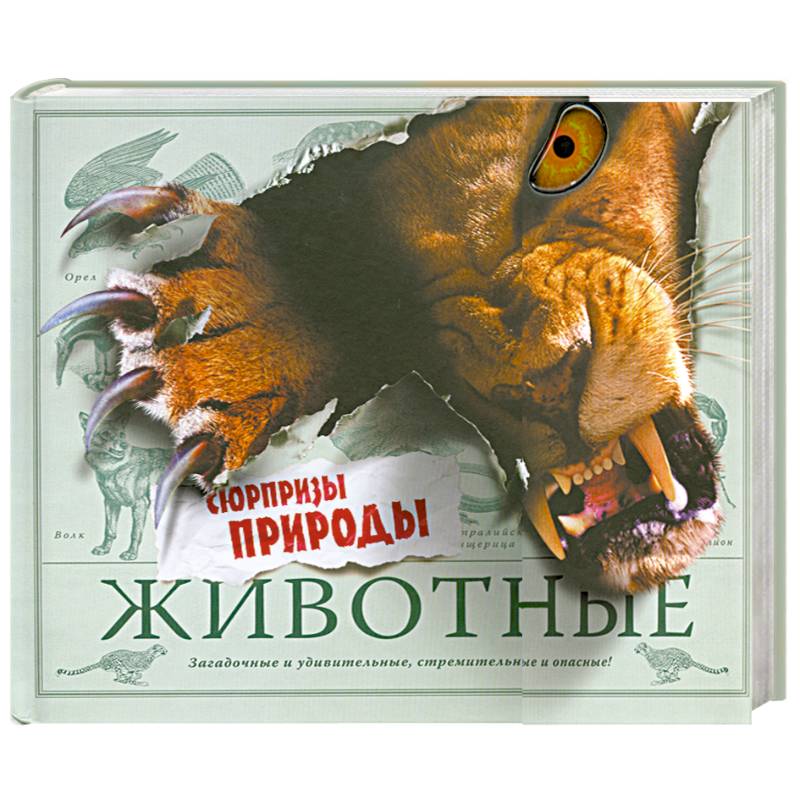 Животные. Сюрпризы природы