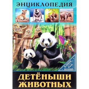 Детеныши животных