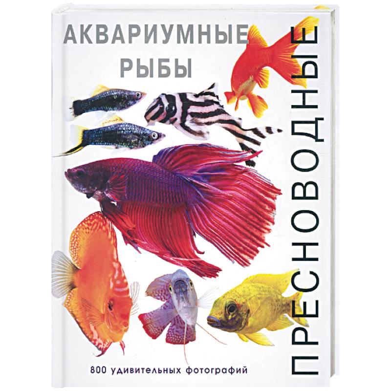 Книги про рыб. Книга про аквариумных рыбок. Аквариумные рыбки энциклопедия для детей. Аквариумные рыбки книжка. Аквариум и рыба,книга.
