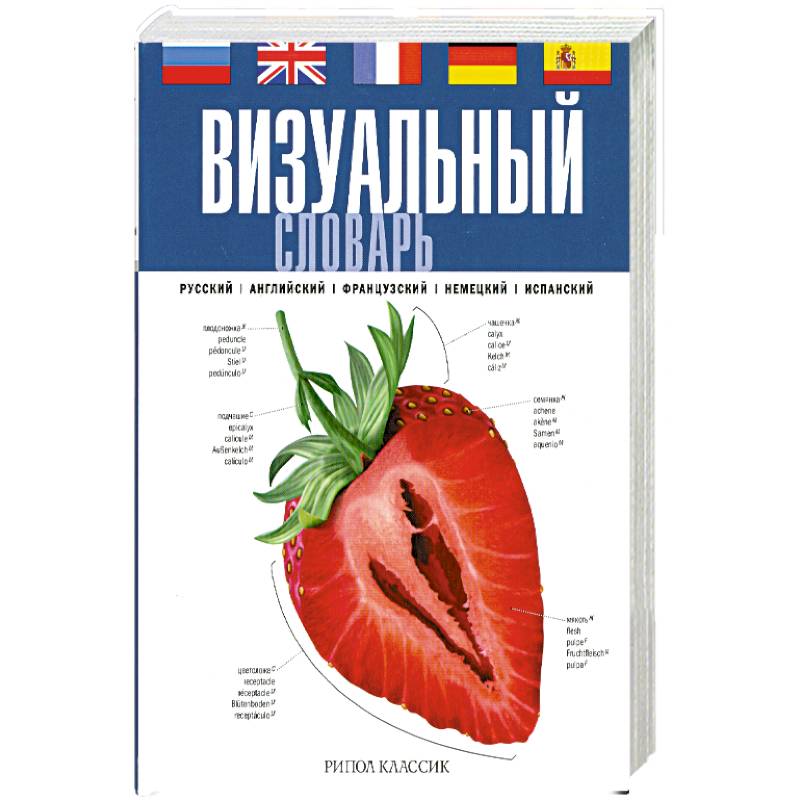 Визуальный словарь. Русско-французский визуальный словарь Рипол Классик. Краткий визуальный словарь. Русско-немецкий визуальный словарь, Рипол-Классик. Многоязычный визуальный словарь.