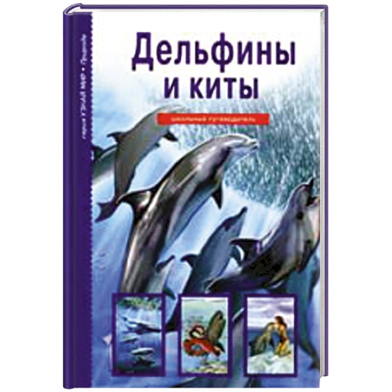 Дельфины и киты