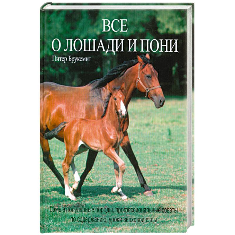 Произведение кони. Рассказ о лошади. Книга лошади и пони. Детская энциклопедия. Лошади и пони. Лошади и пони книга dk