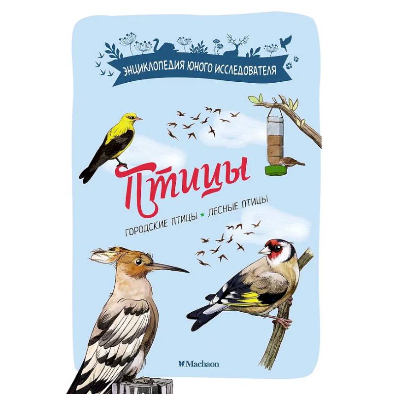 Птицы. Городские птицы. Лесные птицы